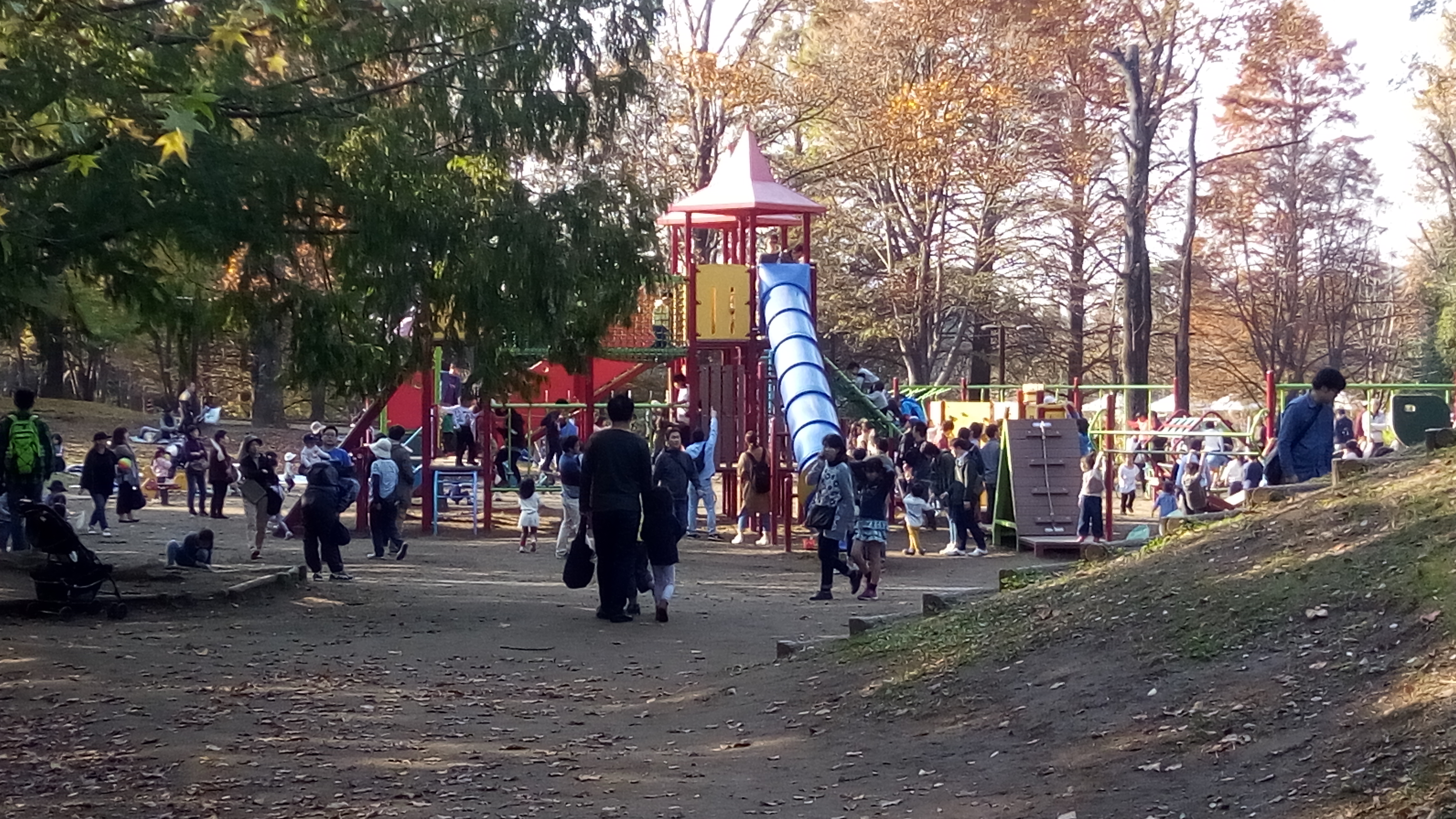 広くて自然豊かな公園 柏の葉公園でテントをしました クラシック音楽と読んだ本 子どもとふれあい日記 ときどきグルメ